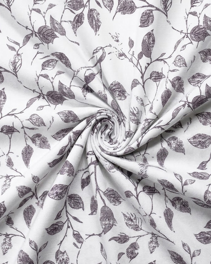 Plum Botanical Sketch Print